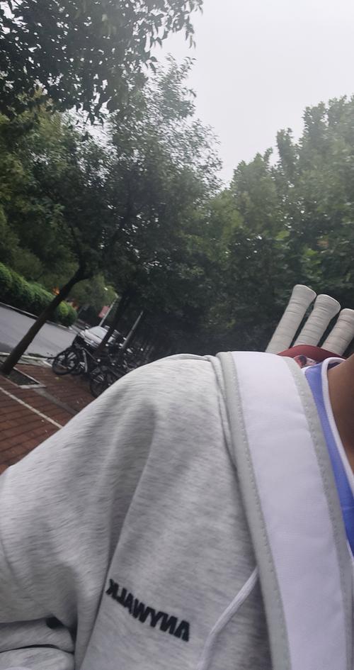 解了其精神 解了其精神